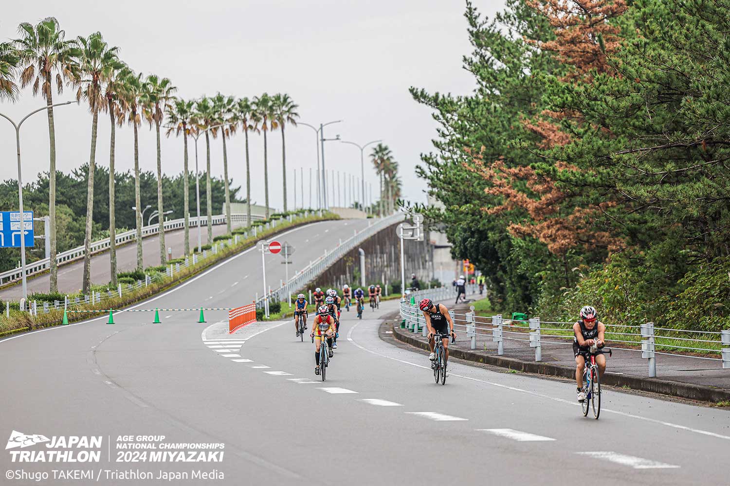 エイジ・ジュニアのアスリートガイドを公開しました。